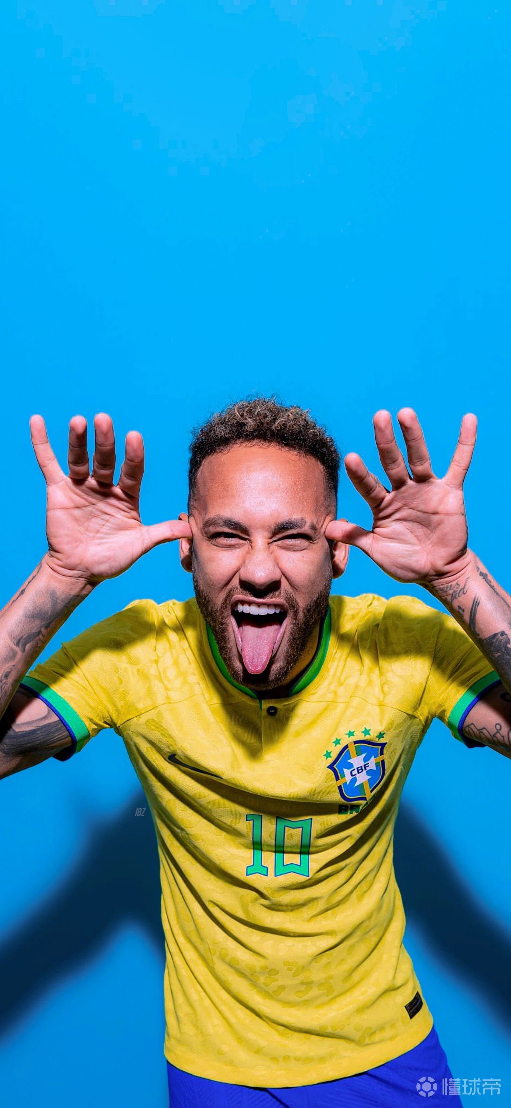 喜忧参半，纽卡欧冠排第6，英超仅领先降级区2分（喜中带忧：纽卡欧冠位列第6，英超仅高出降级区2分）